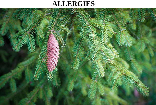 allergies, allergènes, pollen, graminées, immunité