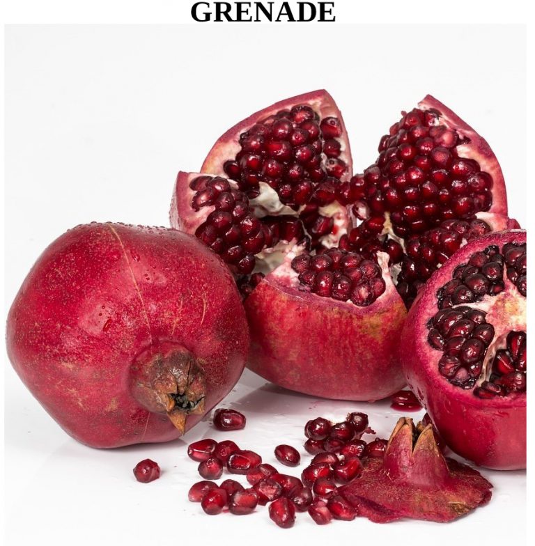 antioxydant, anti-inflammatoire, analgésique, douleurs articulaires, arthrite, prostate, cancer du sein, troubles digestifs, infections bactériennes