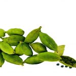 CARDAMOME