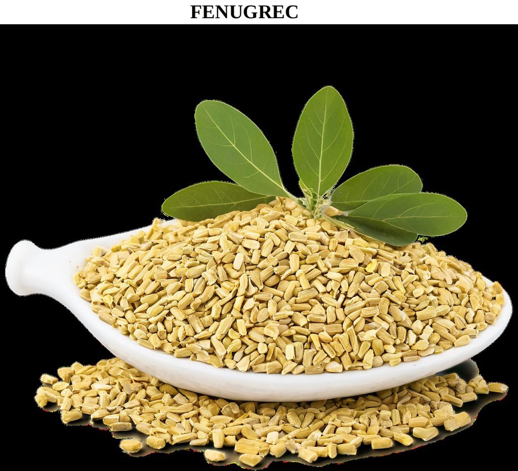 appétit, digestion, énergie, antidiabétique, libido