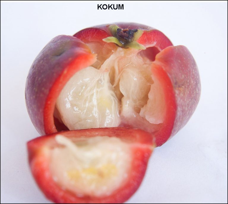 vivre mieux naturellement, kokum, beurre, remède traditionnelle, soin de la peau, hydratation, rides, élasticité