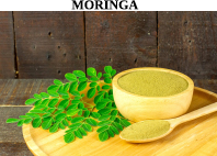 Moringa-oleifera, acides gras, glycémie, cholestérol, antioxydant, endurance, système-immunitaire