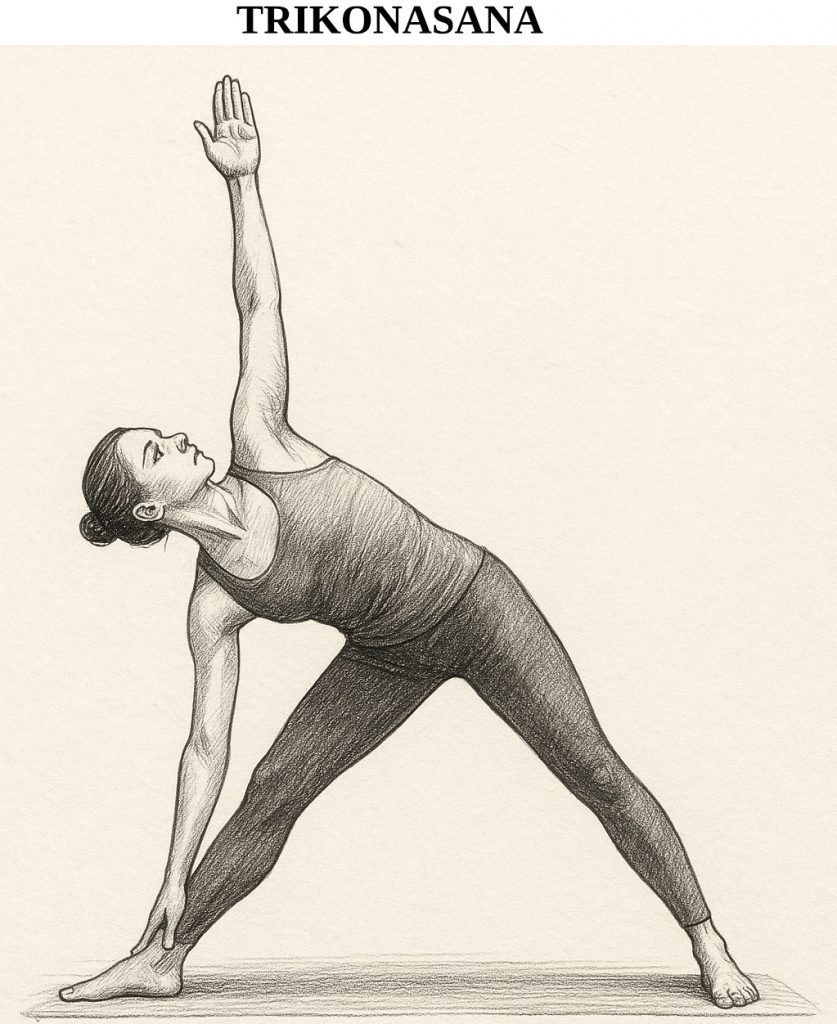 Trikonasana, posture-de-triangle